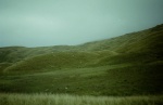 Stake Pass