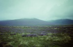 Purple heather, Back o' Skidda