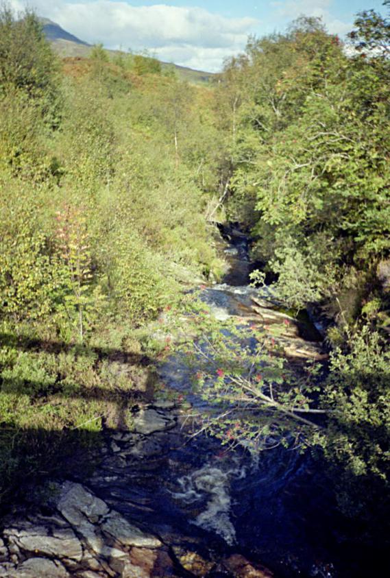 1990-08-25g.jpg - Rocky river