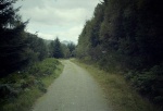 Forest track with view to the Cobbler