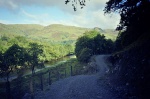 In Glen Falloch