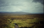 Black Mount