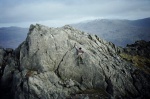 Toby on Harter Fell