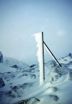 Rime ice