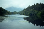 Glencoe Lochan, in Hospital Woods