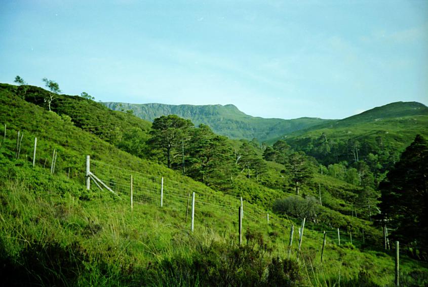 1992-06-17a.jpg - Near Achnashellach