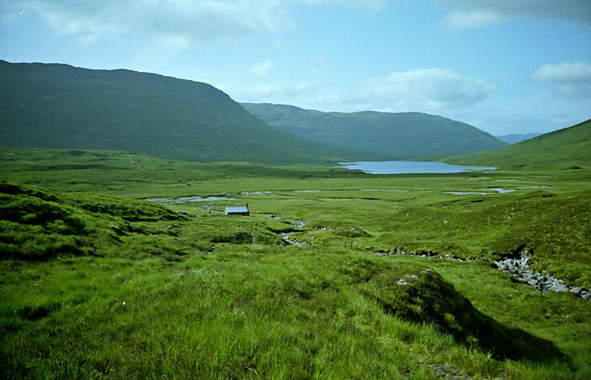 1992-06-17b.jpg - Bearnais