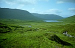 Bearnais
