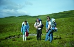 Four foreign walkers