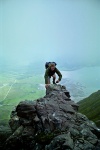 Toby on the Pinnacles