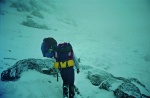 Walking in mist and snow
