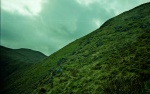 Deer on the Nab