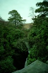 Stanley Force