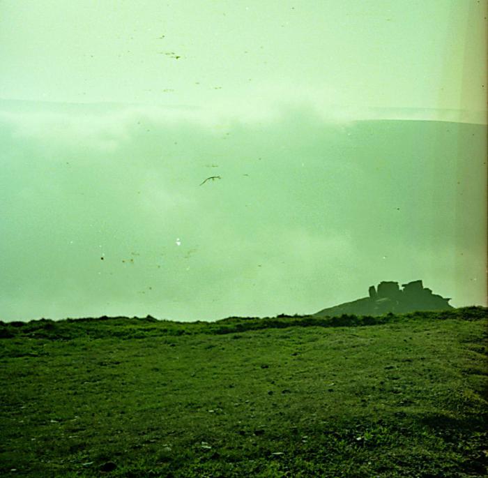 1993-02-14g.jpg - 