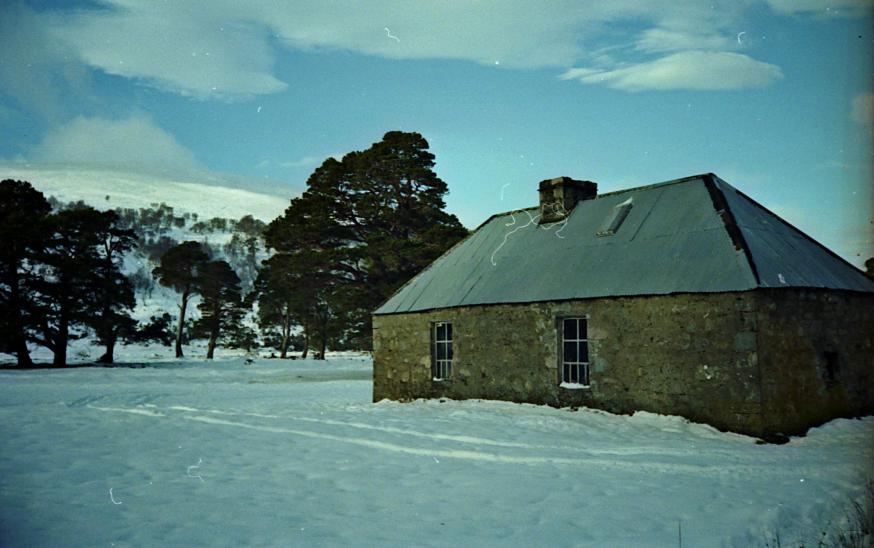 1993-12-15a.jpg - Ruigh-àiteachan