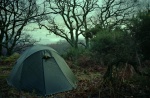 Camping with Jim
