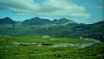 Coulin Forest