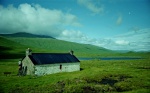 Maol-bhuidhe