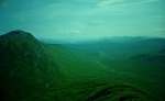 Glen Kingie