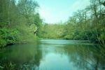 Eavestone Lake