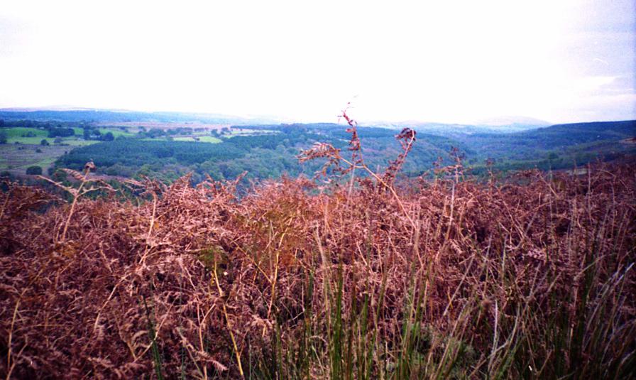 1995-10-01a.jpg - Afon Mellte from Craig y Ddinas