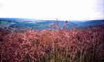Afon Mellte from Craig y Ddinas
