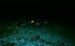 Beach party