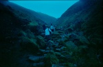 Descending