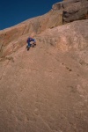 Toby on Direct Route