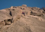 Hil and Toby on Direct Route