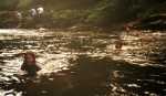 Swimming (2)