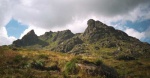 The Cobbler
