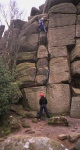 Parallel Cracks