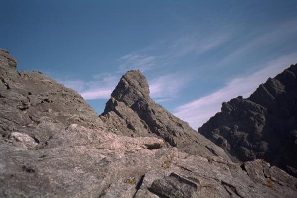 003.jpg - 