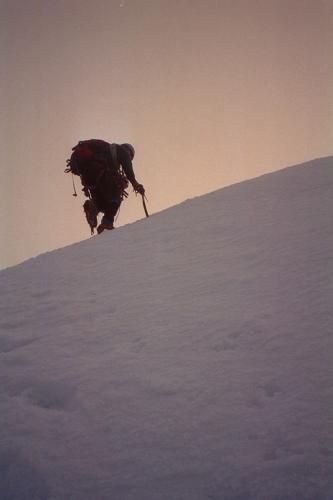 2000-01-23d.jpg - Topping out