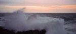 Wave