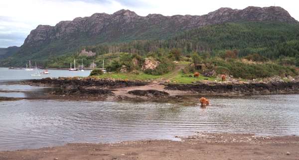 2000-07-01a.jpg - At Plockton