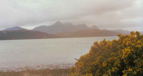 2001-04-15c.jpg - 