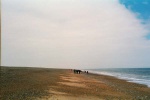 Beach at Cley
