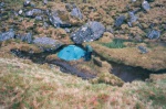 Dave's tent