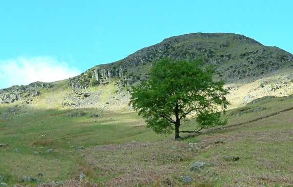 dscf0020.jpg - Ascending Birkhouse Moor