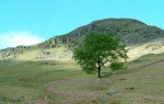 Ascending Birkhouse Moor