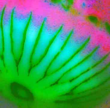 20030714-165029.jpg - 