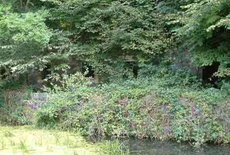 20030907-133724.jpg - House in the woods