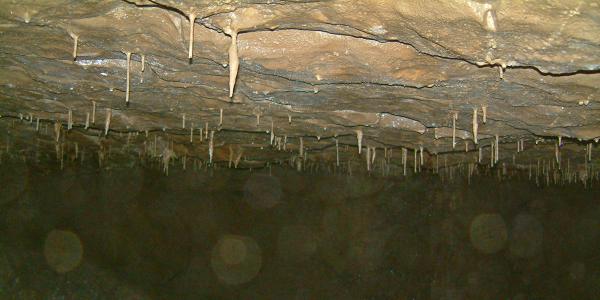 20030927-132158.jpg - Stalactites