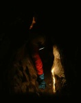 Crawl