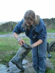 Scrubbing
