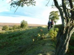 Peter and Lucia walking along an old hedge-line