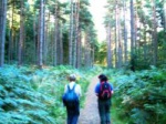Peter and Lucia in pine woods