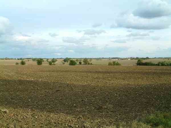 20031004-170044.jpg - Big sky